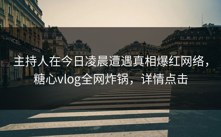 主持人在今日凌晨遭遇真相爆红网络，糖心vlog全网炸锅，详情点击