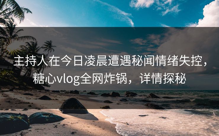 主持人在今日凌晨遭遇秘闻情绪失控，糖心vlog全网炸锅，详情探秘