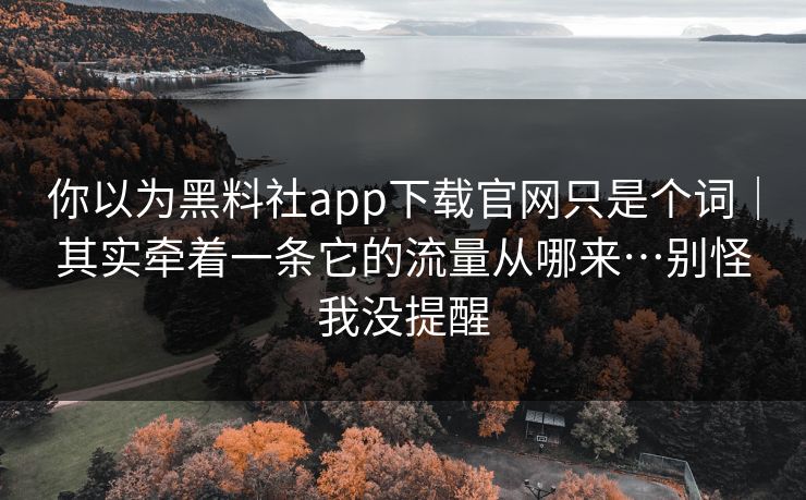 你以为黑料社app下载官网只是个词｜其实牵着一条它的流量从哪来…别怪我没提醒